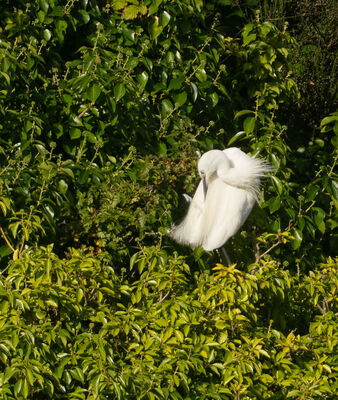 Photographed at Gallotin Quarry. on 28/8/2025. Photo: © Julie Davis