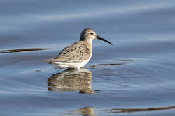 Photographed at Claire Mare. on 6/9/2025. Photo: © Dave Carre